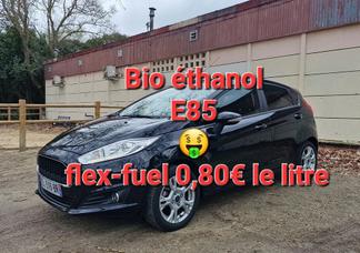 Catégorie de véhicule : Ford Fiesta