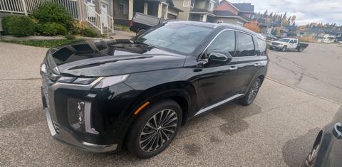 Hyundai Palisade 2025
