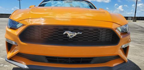 Ford Mustang 2019
