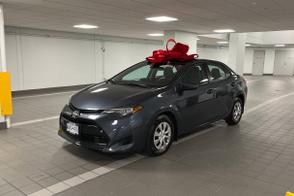 Toyota Corolla car