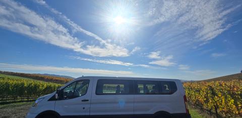 Ford Transit 2021
