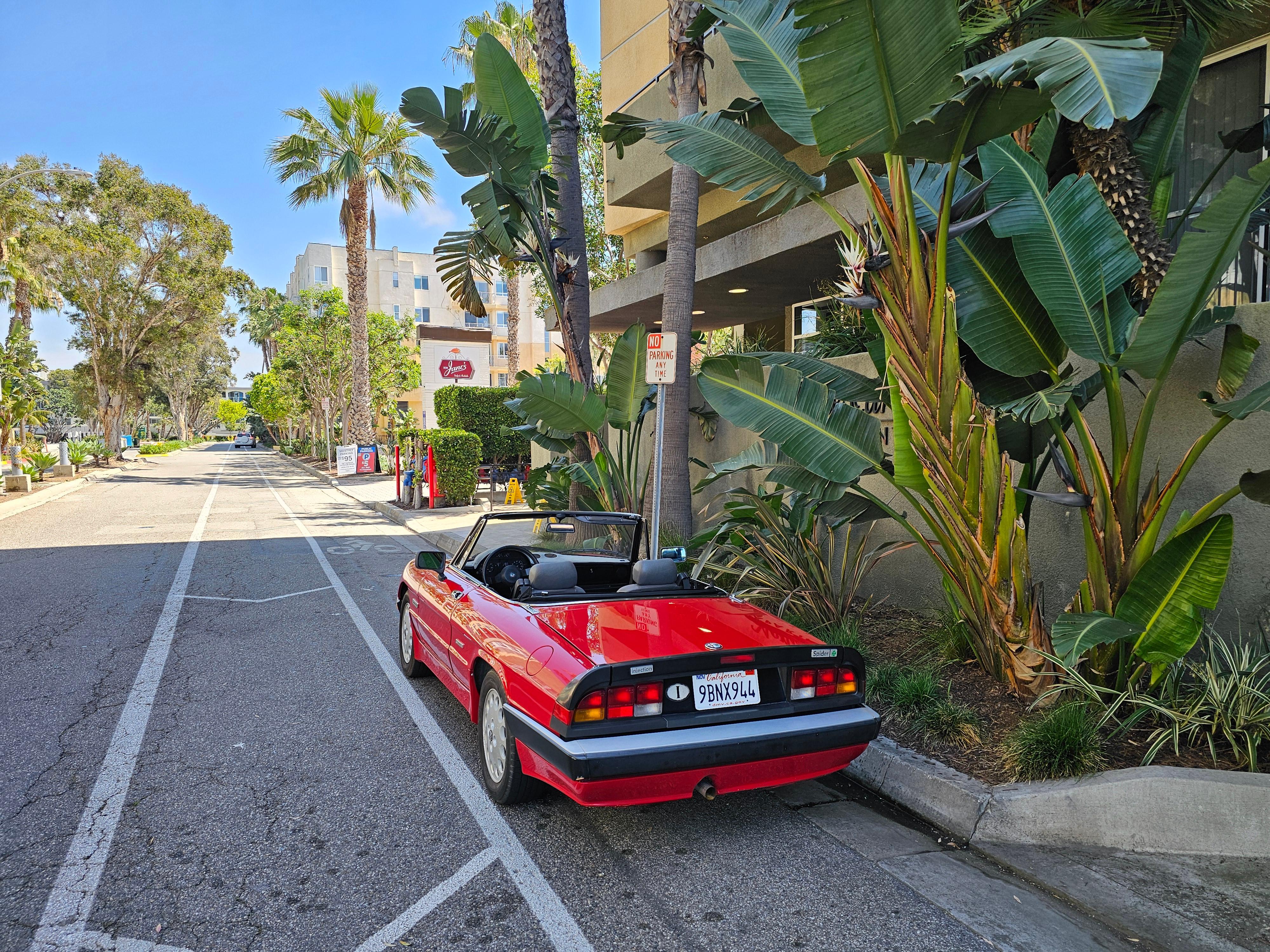 Alfa Romeo Spider Quadrifoglio 1986 rental in Hawthorne, CA by