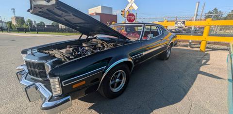 Ford Elite 1975