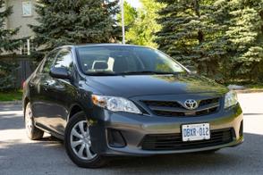 Toyota Corolla car