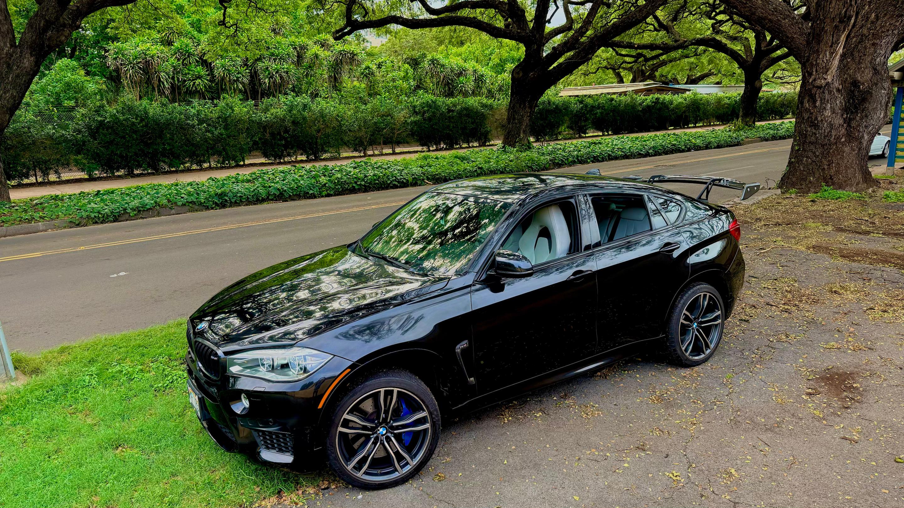 BMW X6 M 2017 in Honolulu, HI