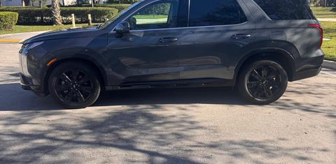 Hyundai Palisade 2024