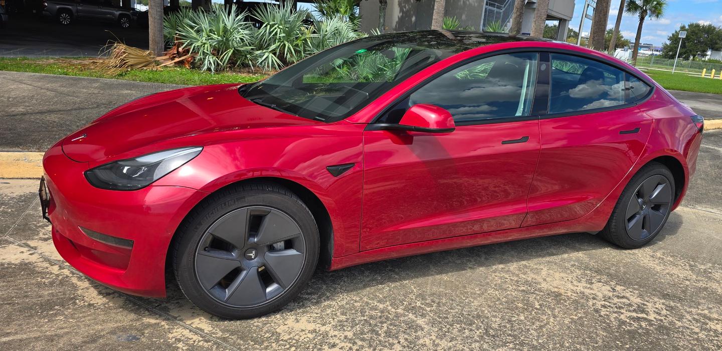 Tesla Model 3 2022 rental in Tampa, FL by Infinite Auto Management Inc