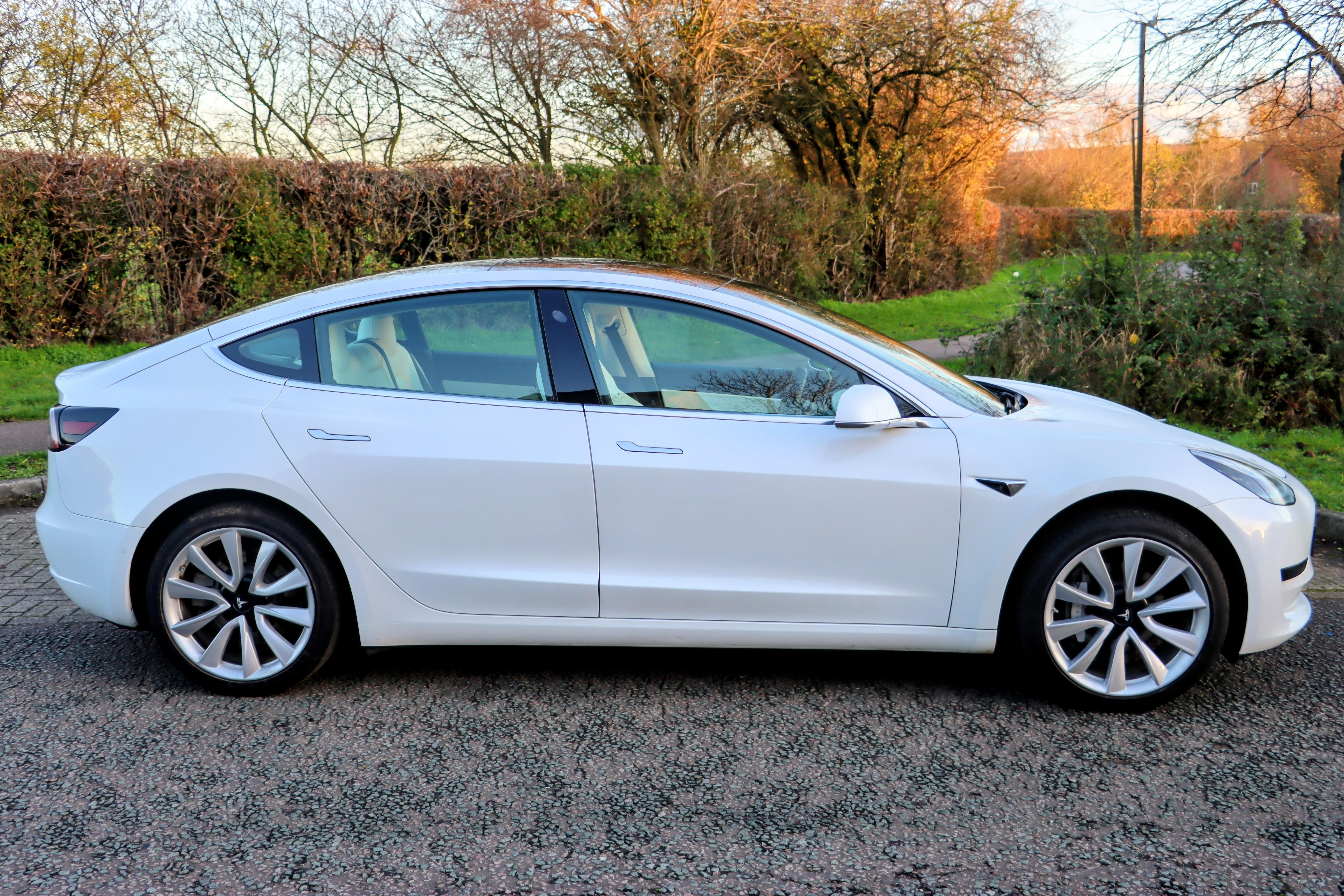 Tesla Model 3 2020 in Walnut Tree