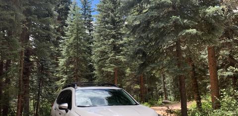 Subaru Ascent 2019