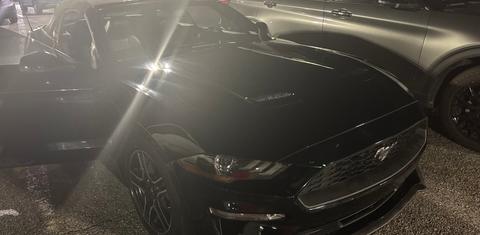Ford Mustang 2020 rental in Houston, TX by Kia L. | Turo