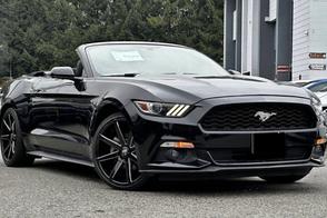Catégorie de véhicule : Ford Mustang