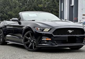 Catégorie de véhicule : Ford Mustang