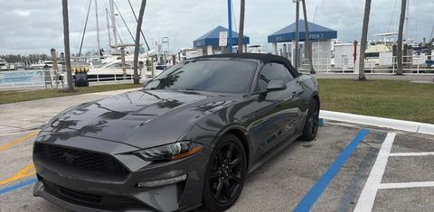 Ford Mustang 2019
