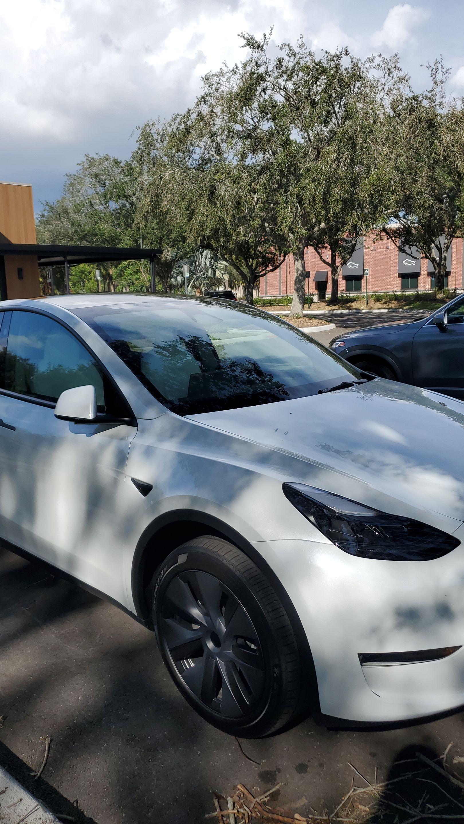 Tesla Model Y 2024 in Sarasota, FL