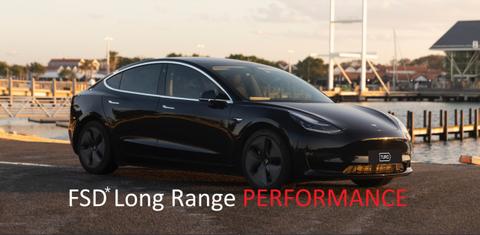 Tesla MODEL 3 2019