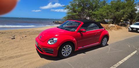 Volkswagen Beetle 2019