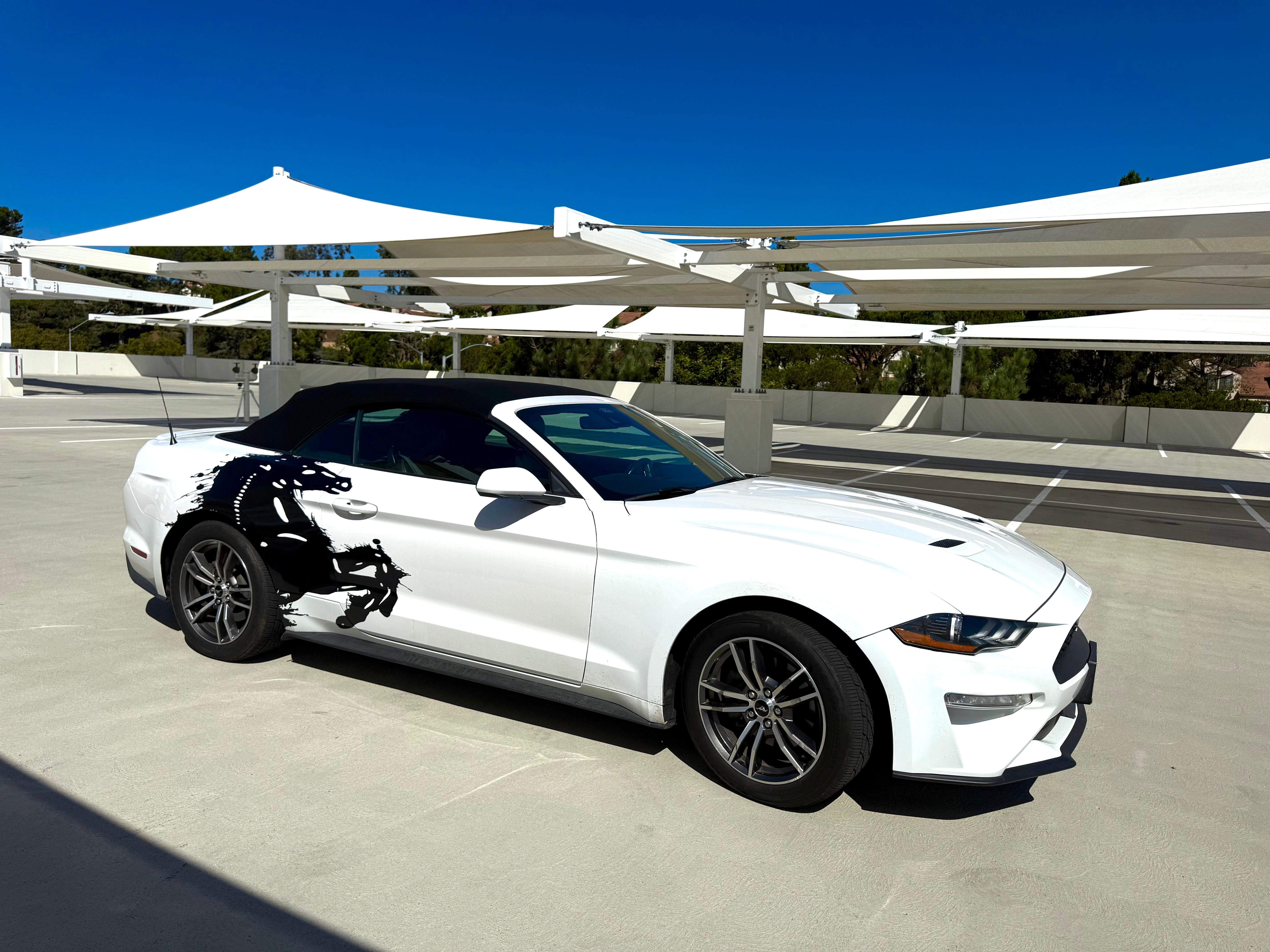 Ford Mustang 2021 in 