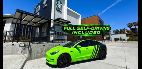 Tesla Model 3 2019