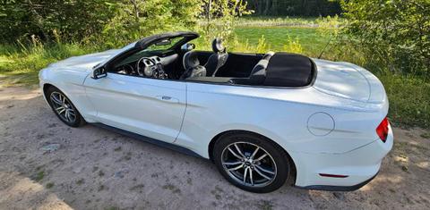 Ford Mustang 2015