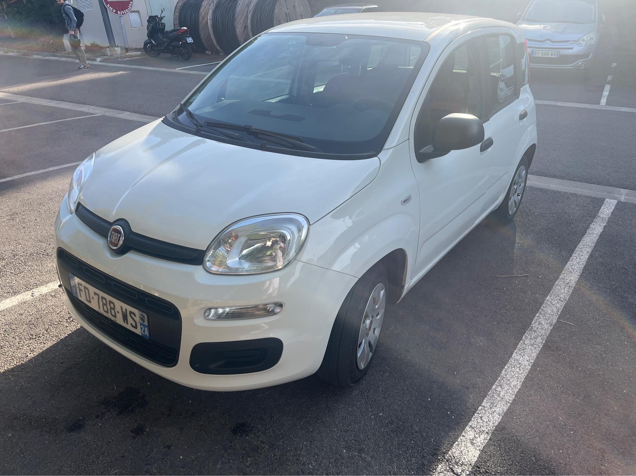 FIAT PANDA 2019 in Calvi