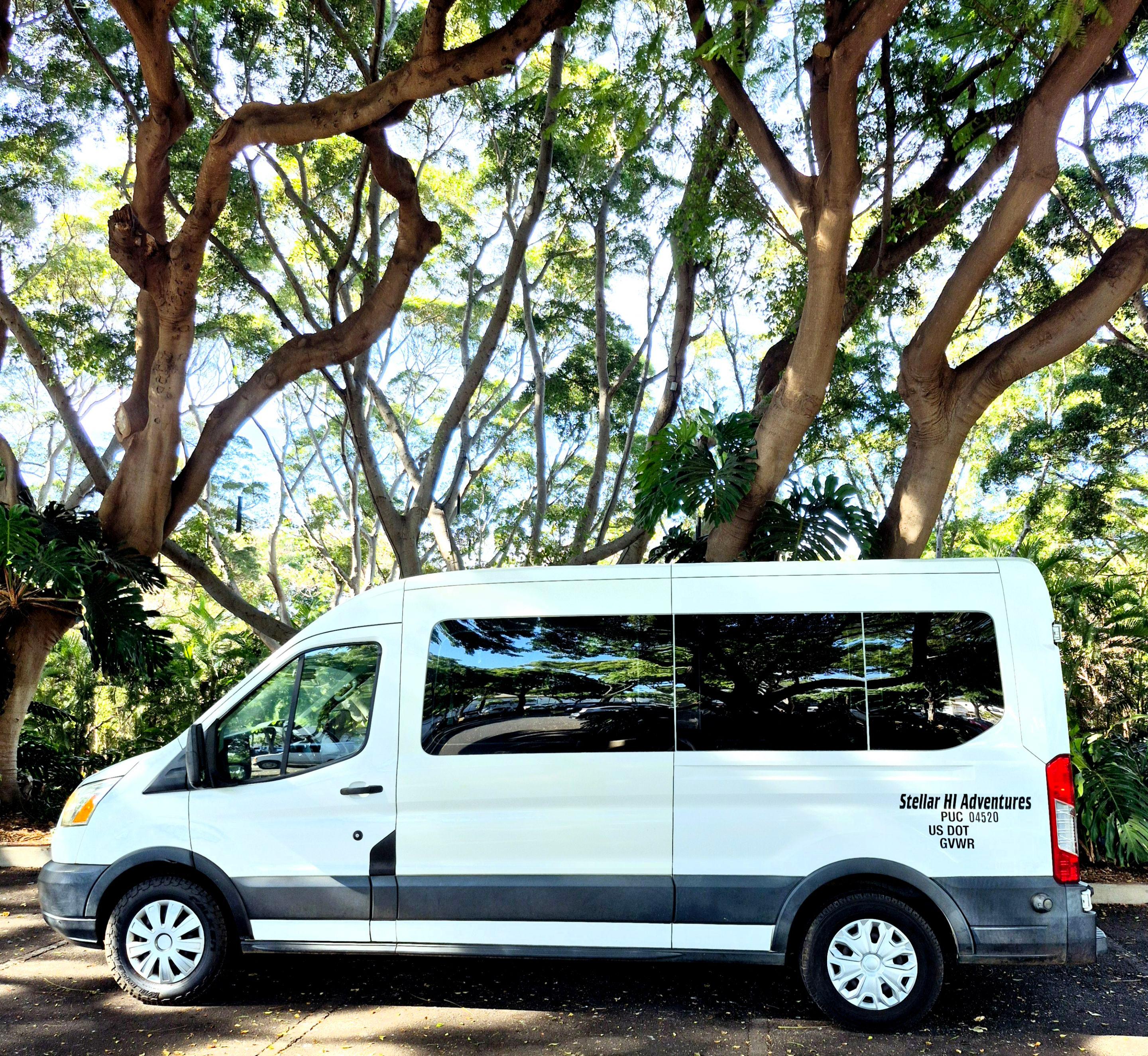 Ford Transit 2015 in Kihei, HI