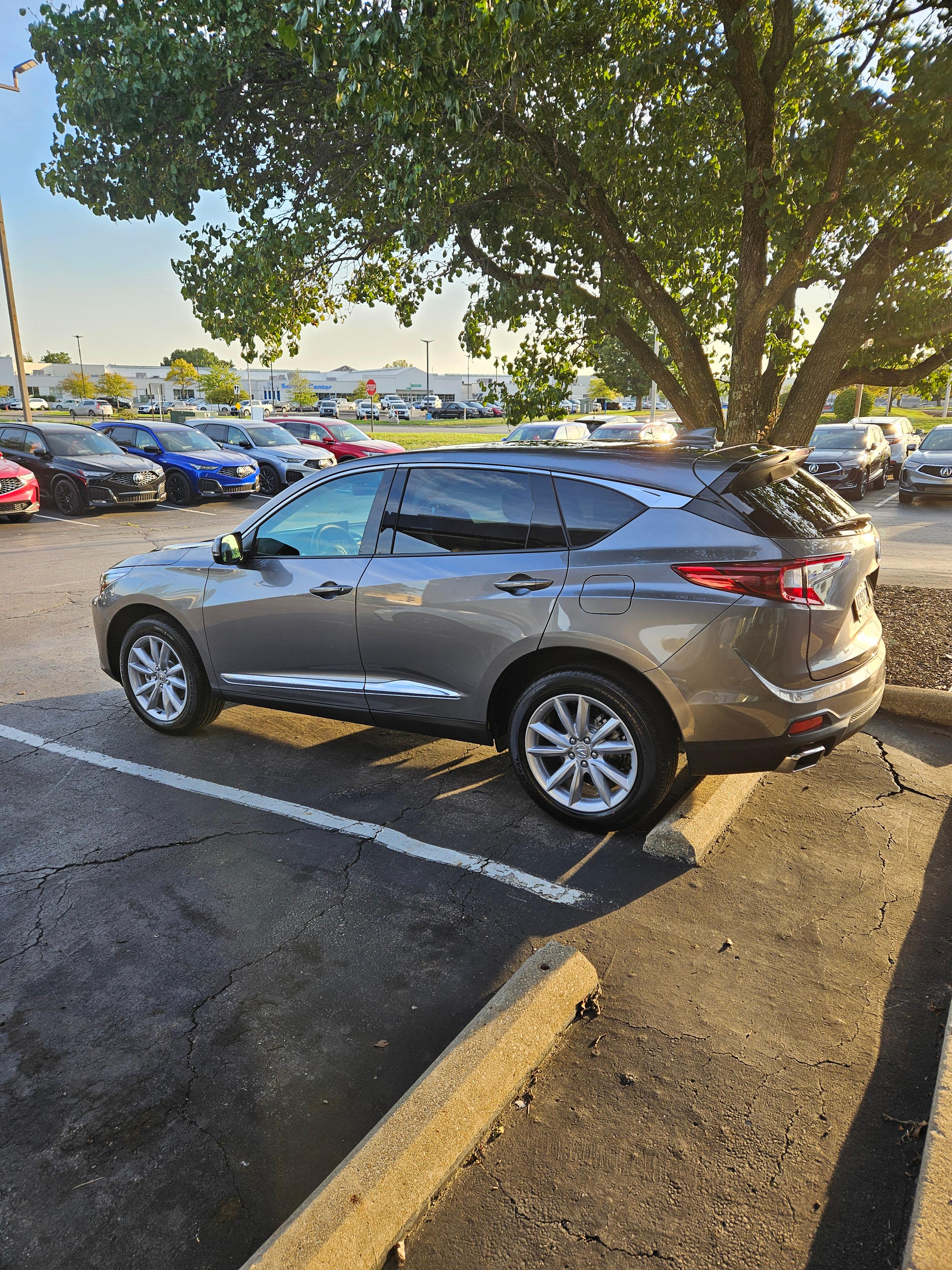 Acura RDX 2024 in Columbus, OH