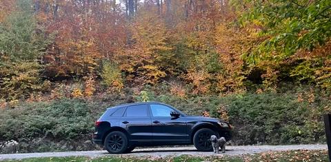Audi Q5 2017