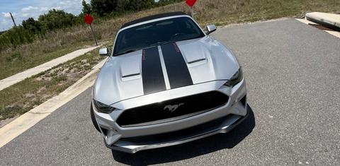 Ford Mustang 2019