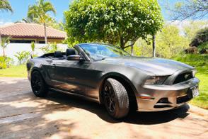 Catégorie de véhicule : Ford Mustang