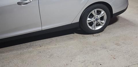 Ford Focus 2013