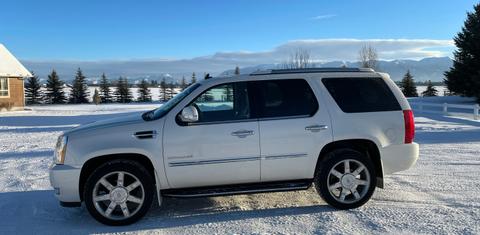 Cadillac Escalade 2013