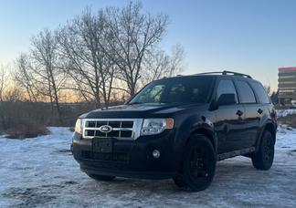 Ford Escape car
