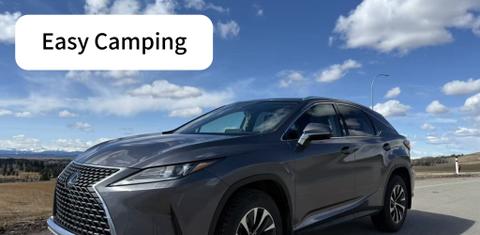 Lexus RX 2020