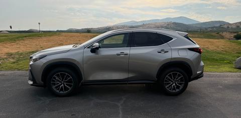 Lexus NX 2023