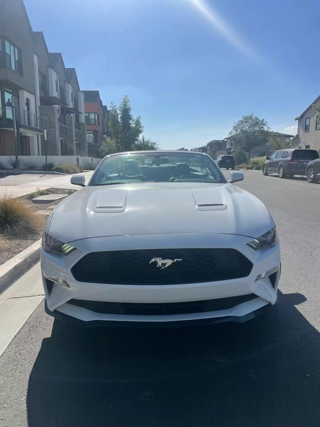 Ford Mustang 2021 in 