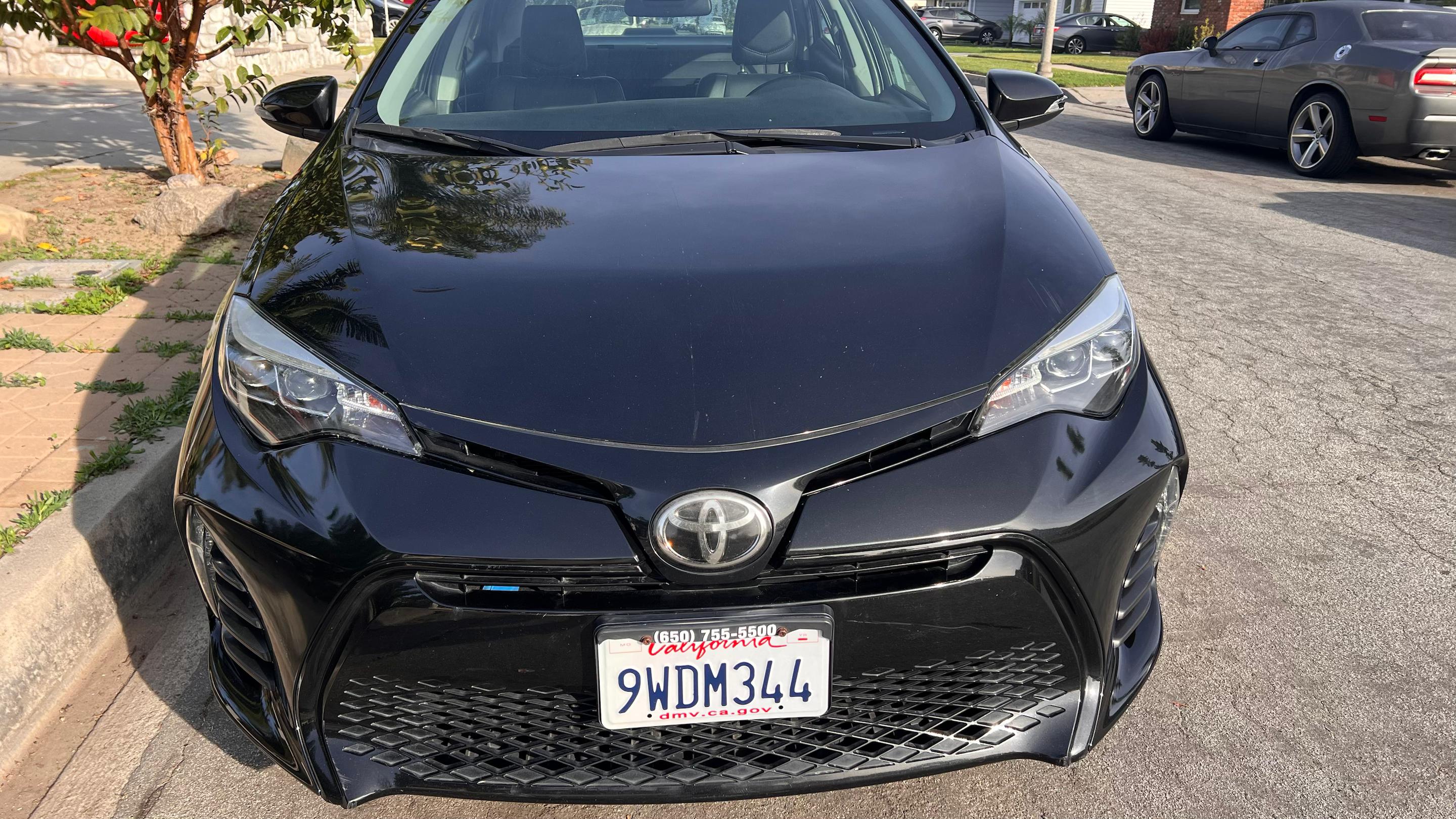 Toyota Corolla 2019 in 
