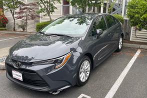 Toyota Corolla car