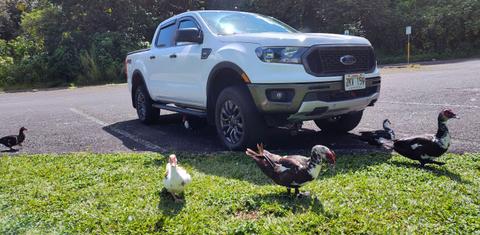 Ford Ranger 2021