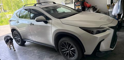 Lexus NX 2025