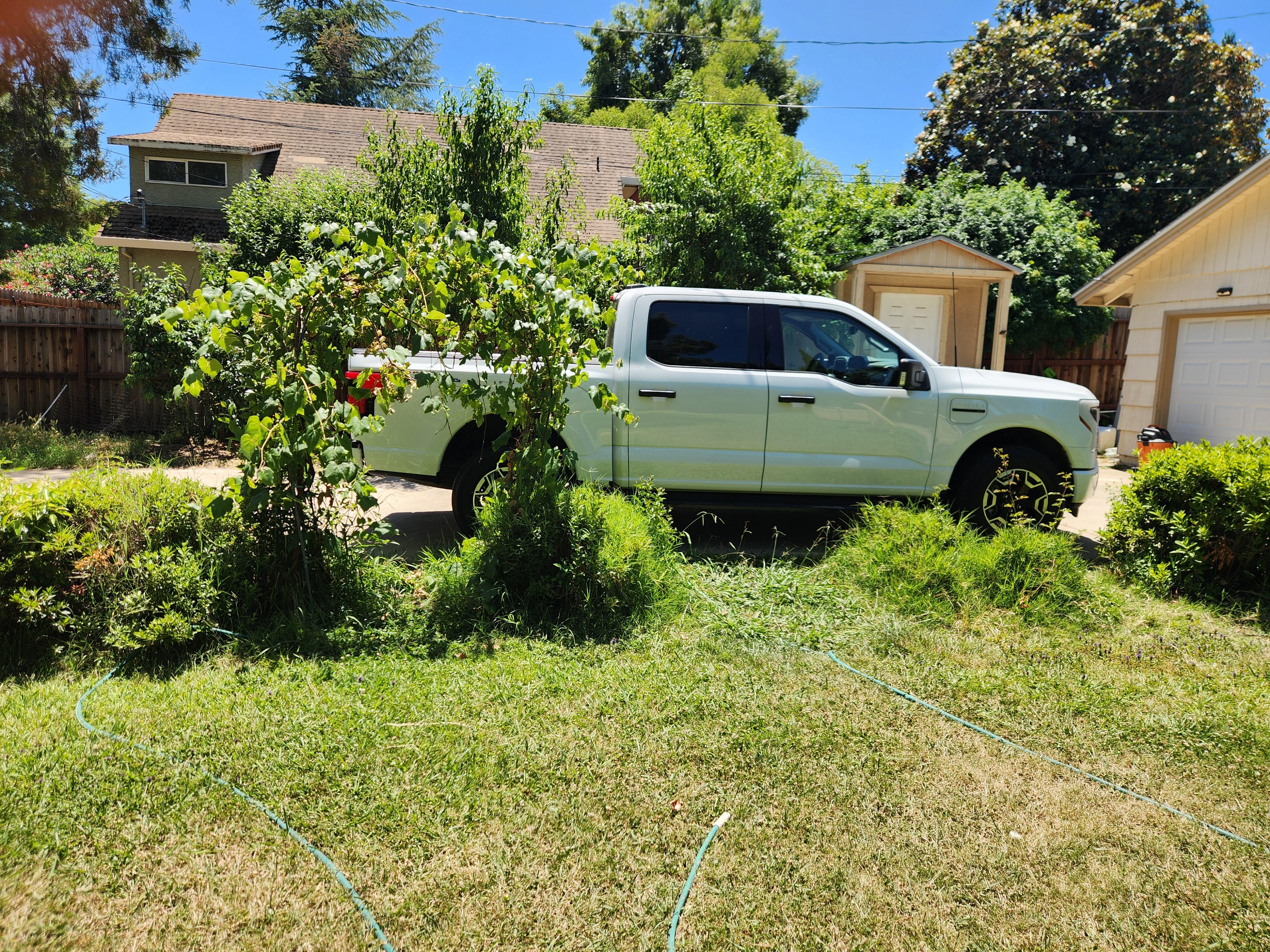 Ford F-150 Lightning 2022 in Citrus Heights, CA