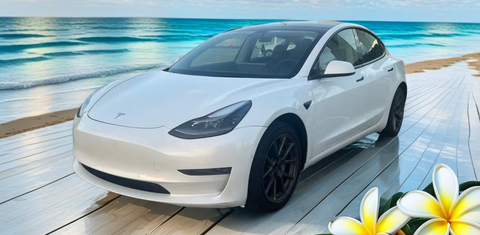 Tesla Model 3 2022