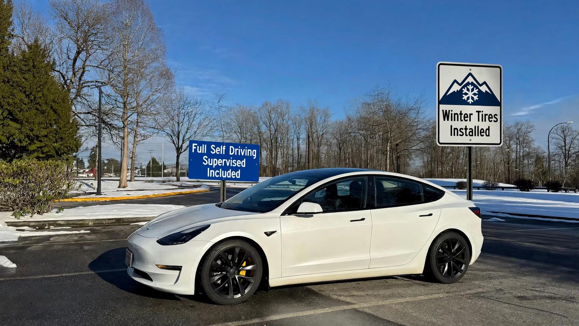 Tesla Model 3 2023 in Surrey, BC