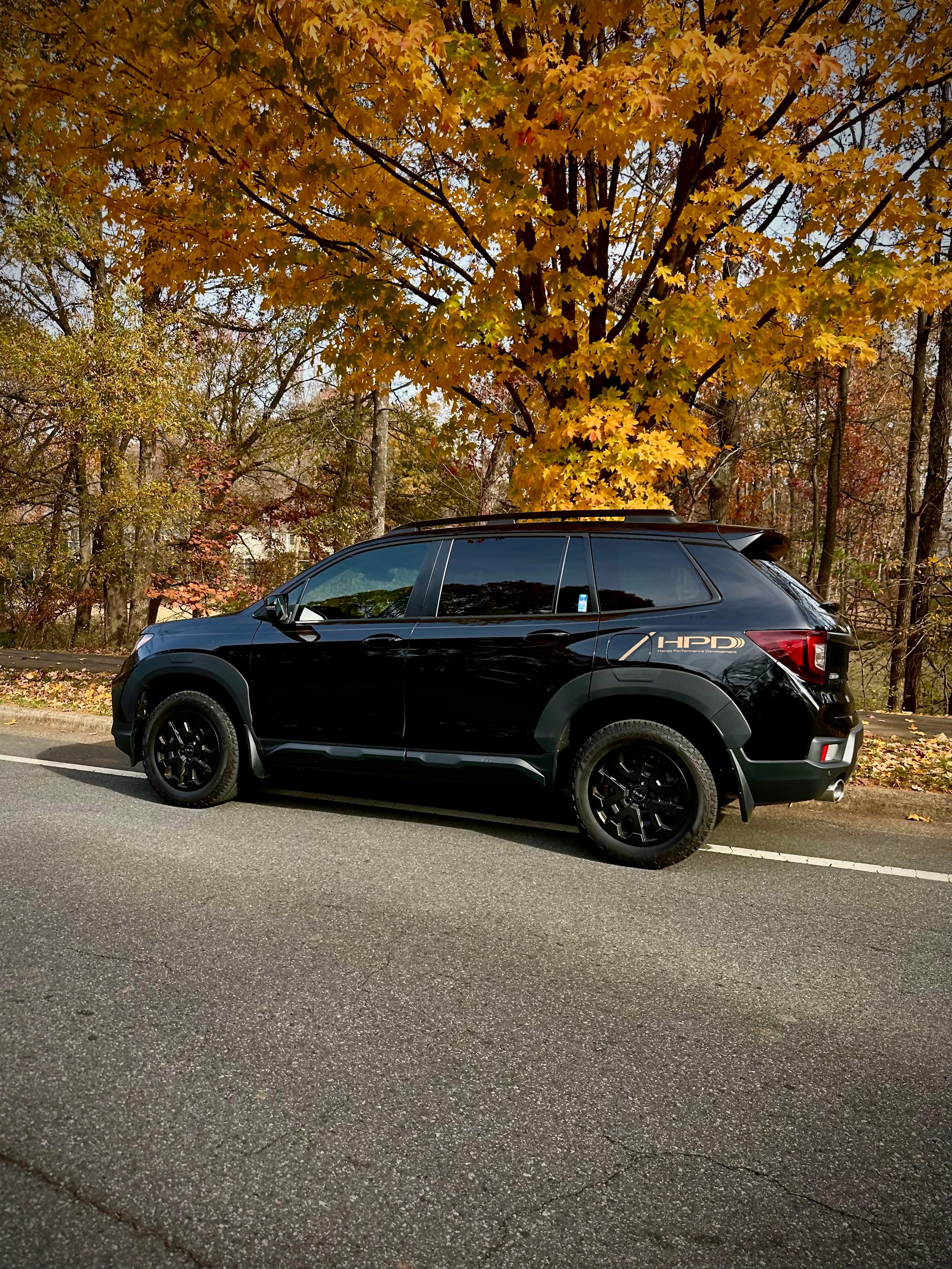 Honda Passport 2023 in Belleair, FL