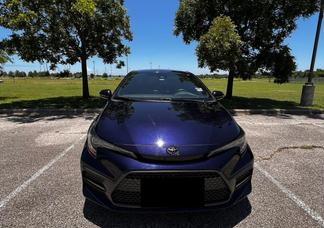 Toyota Corolla car