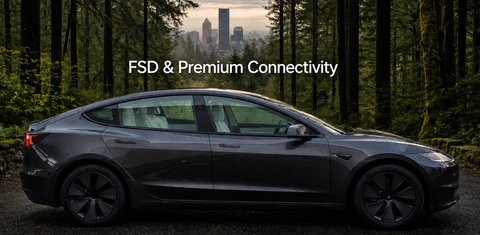 Tesla Model 3 2025
