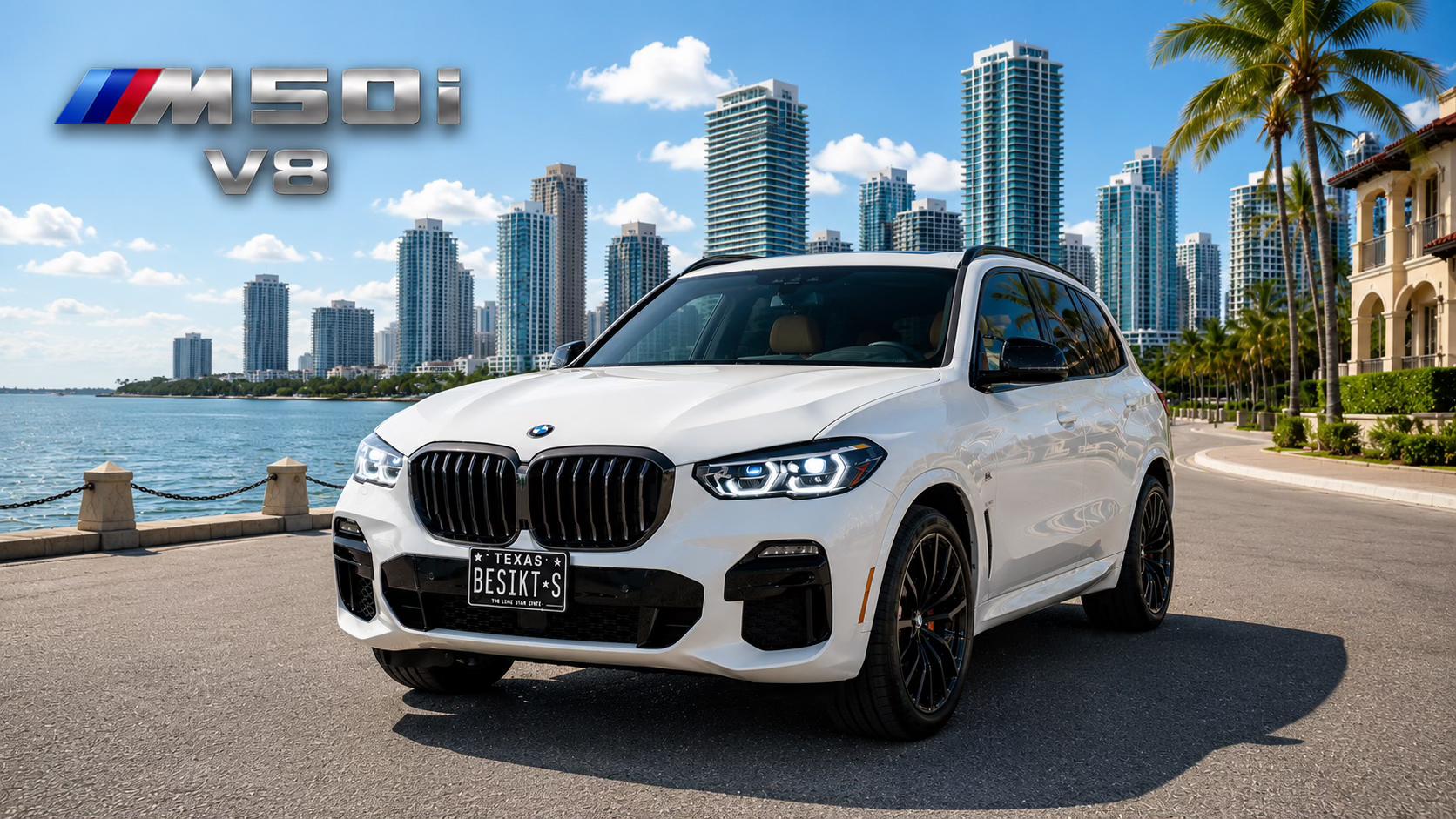 BMW X5 2019 in Houston, TX