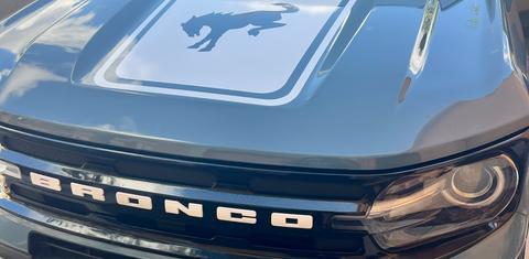 Ford Bronco Sport 2021