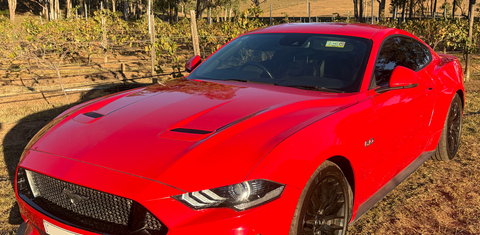Ford MUSTANG 2019