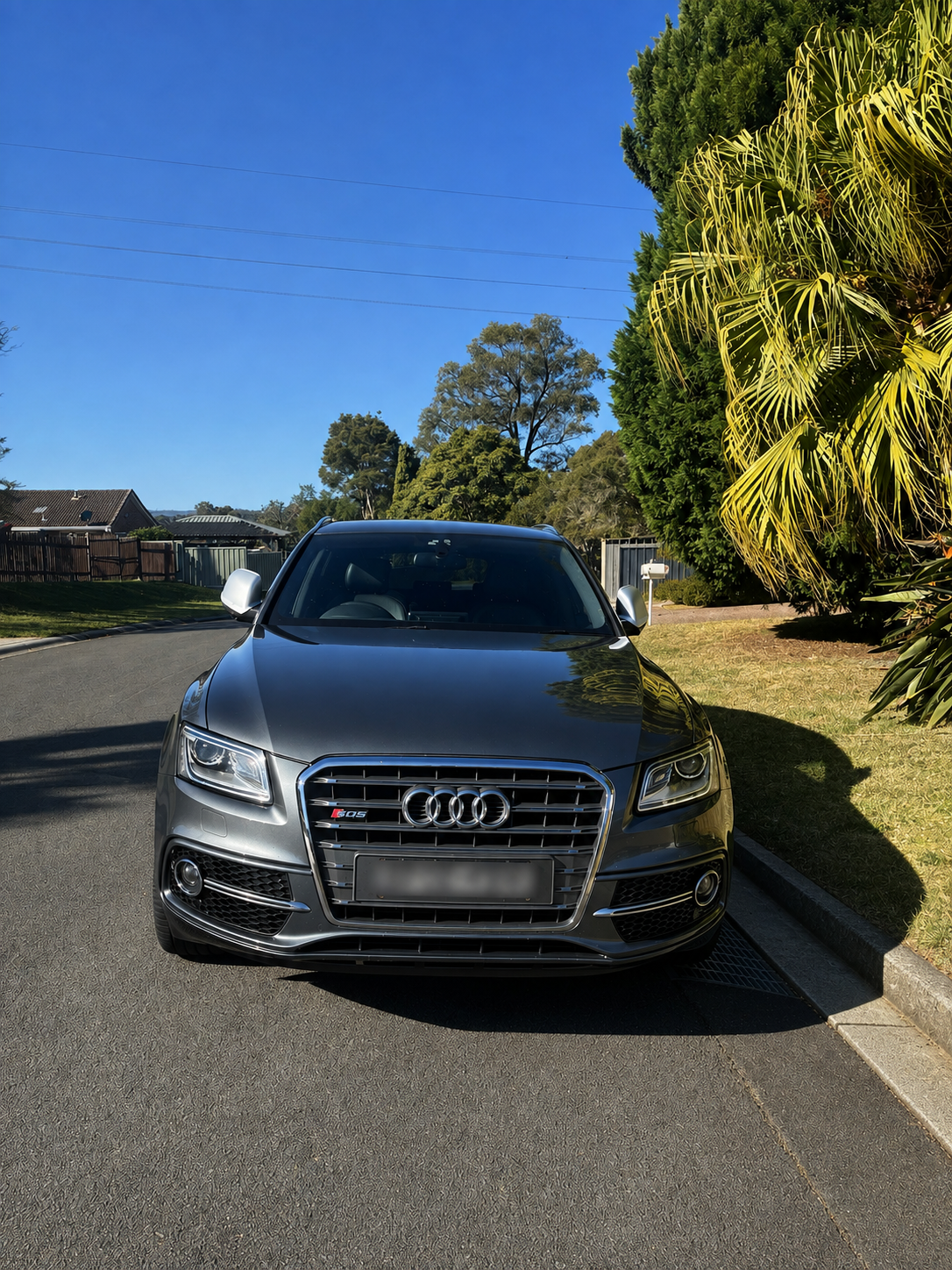 Audi SQ5 2013 in Albion Park