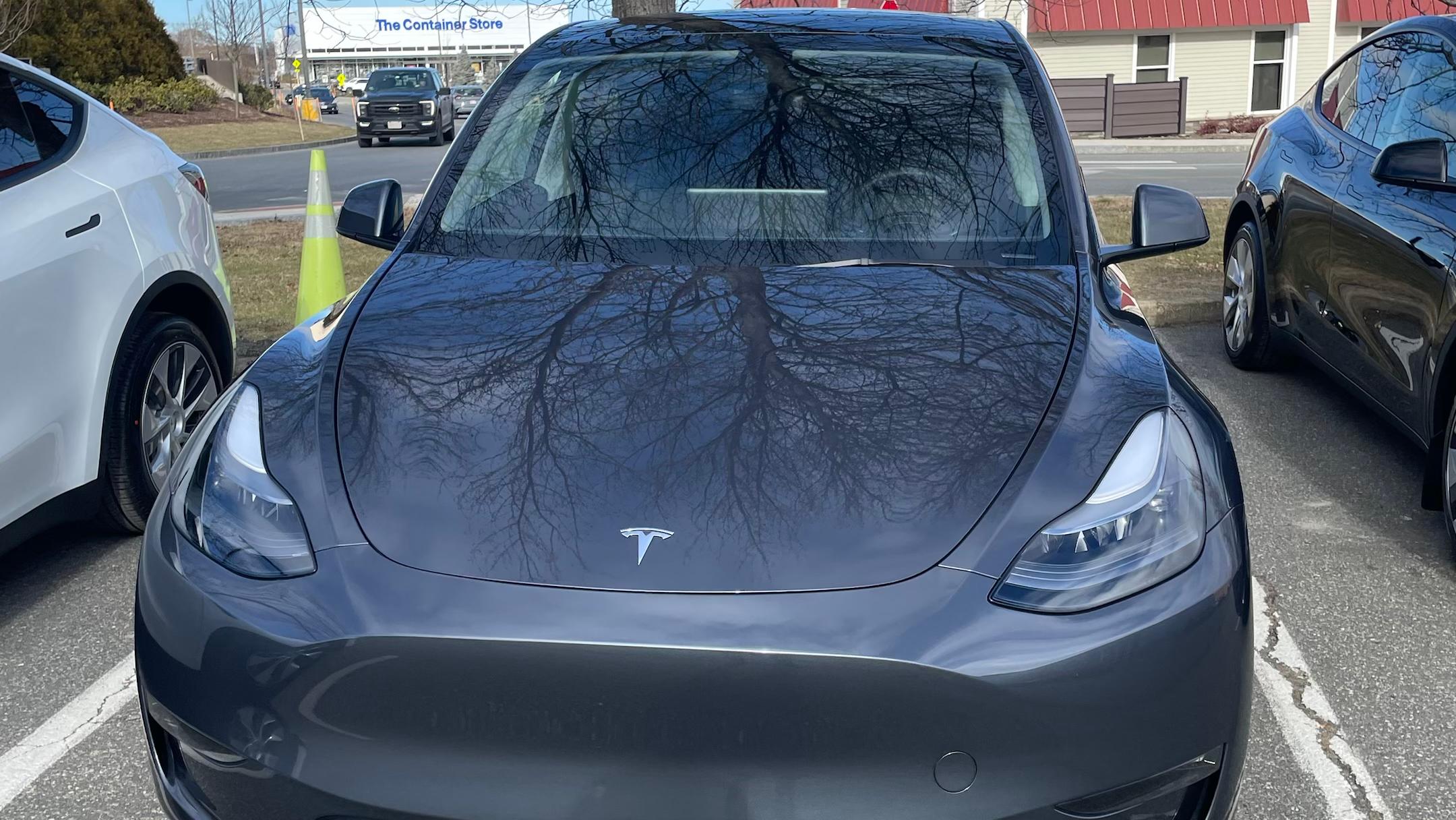 Tesla Model Y 2023 in Belmont, MA